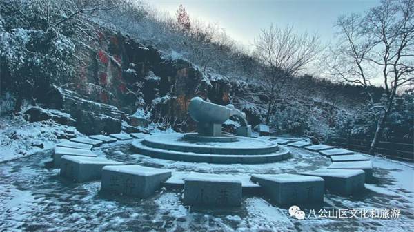 【圖說淮南】——雪來了，你期待嗎？