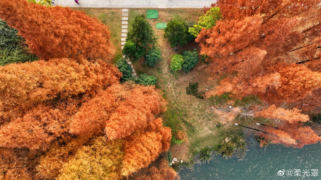 【圖說淮南】——淮南龍湖公園的冬天是什么顏色的呢？